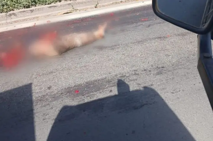 Tragédia na BR-376: Pedestre Morre Atropelado por Bitrem em Ponta Grossa; Sinal de Alerta para Travessias Perigosas