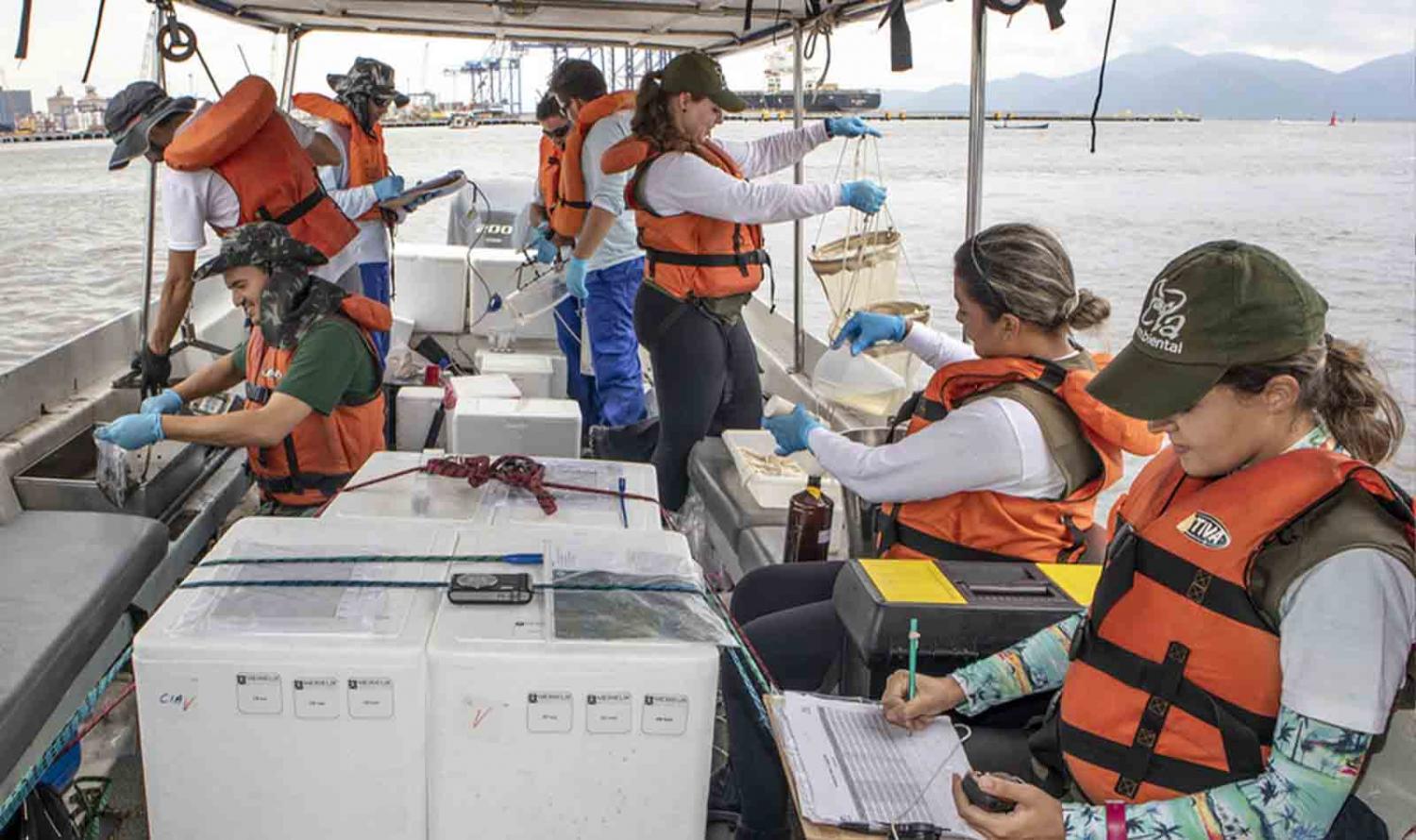 Portos paranaenses têm melhor índice de desenvolvimento ambiental do Brasil