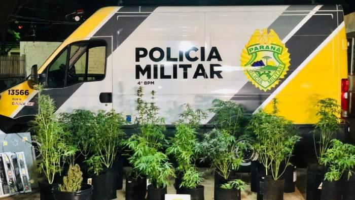 Homem é detido por manter estufa com maconha em imóvel de Maringá