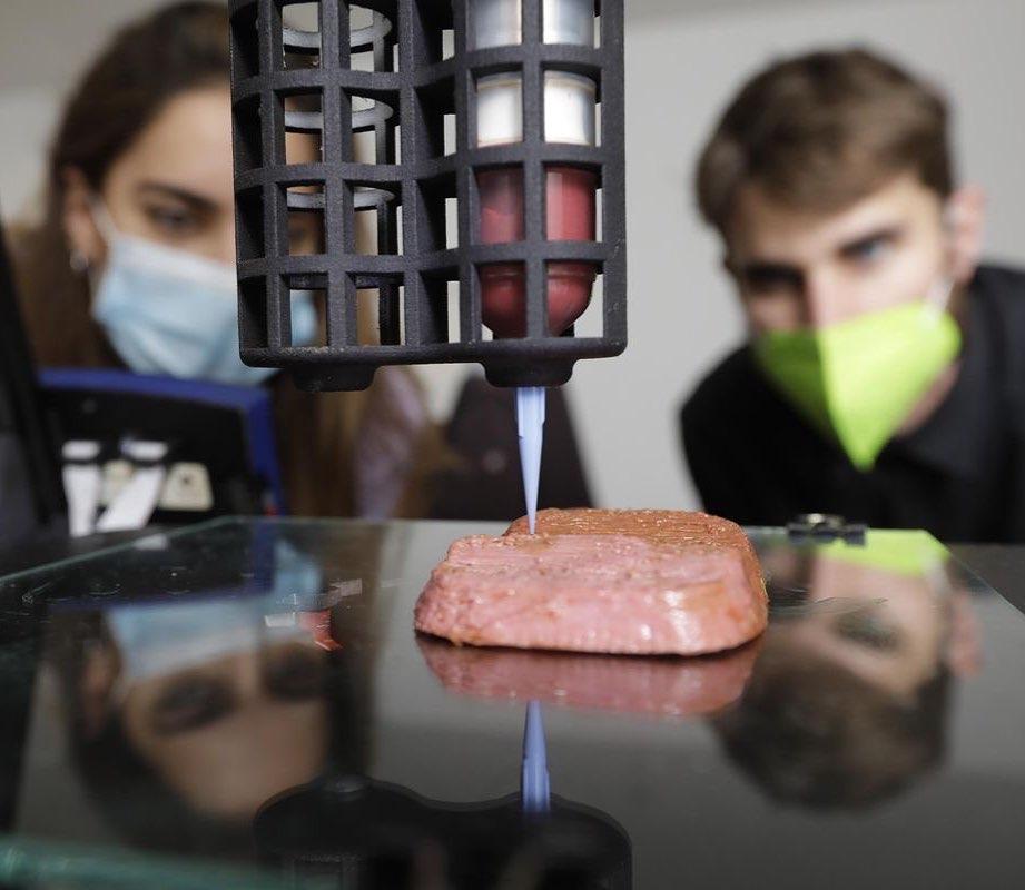 Startup cria “carne” de proteína vegetal produzida através de impressão em 3D