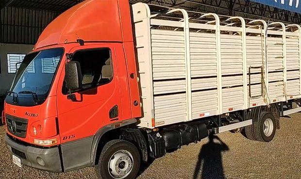 Bandidos rendem morador e roubam cerca de 30 cabeças de gado em Fazenda Bandeirante