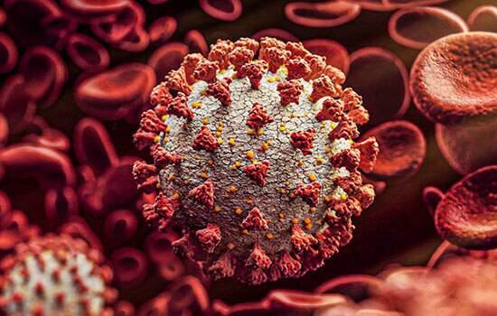 No Brasil média de mortes pela covid, fica acima de 2 mil pela primeira vez