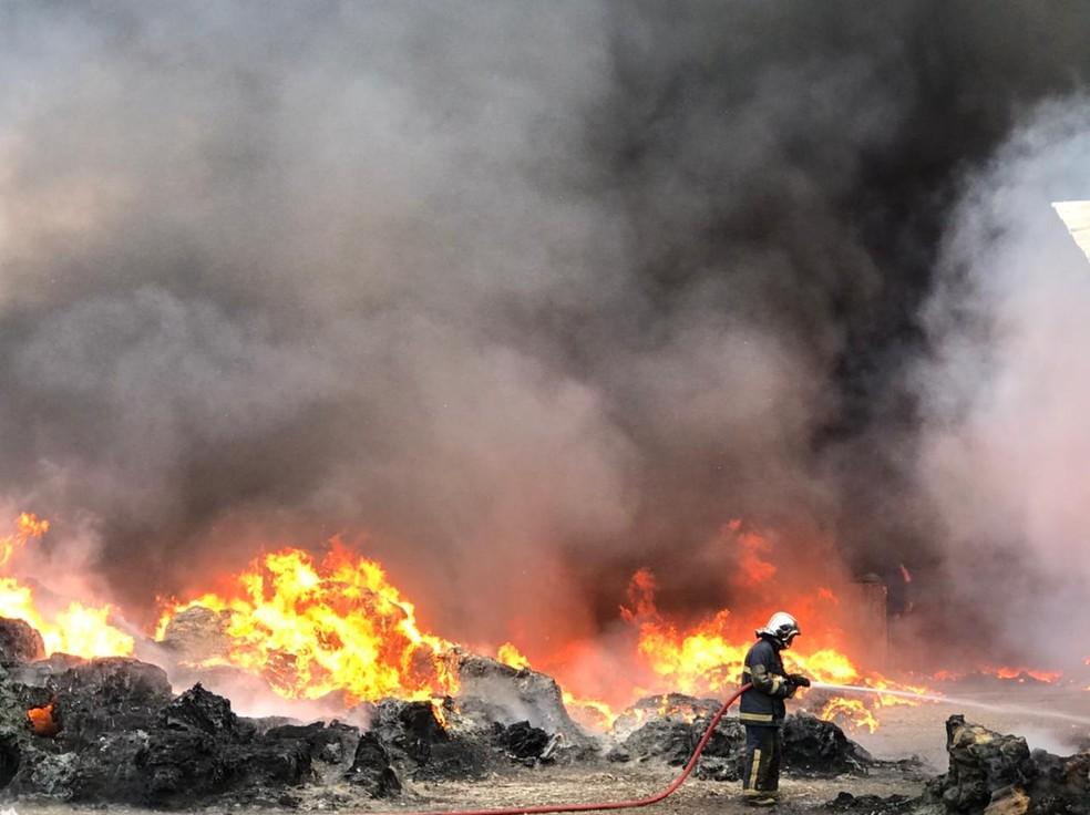 Fazenda Rio Grande: Incêndio de grandes proporções destrói barracões de recicláveis