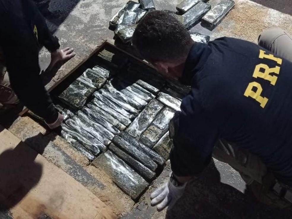 Pai e filho são presos transportando quase meio quilo de maconha em caminhões
