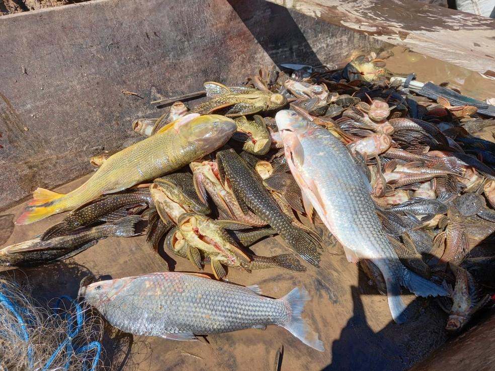 Três pessoas são presas suspeitas de pesca ilegal, no Rio Ivaí