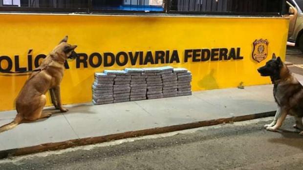 Cães farejadores auxiliam para a localização de mais 68,7kg de cocaína na BR 277