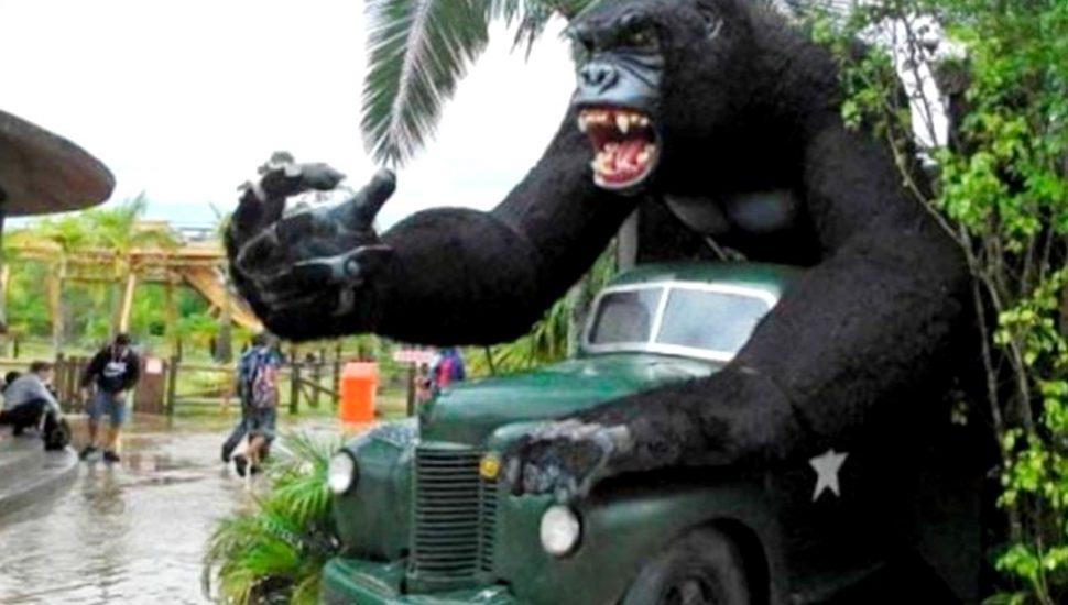 Criança de Curitiba fica gravemente ferida após cair em brinquedo no Beto Carrero