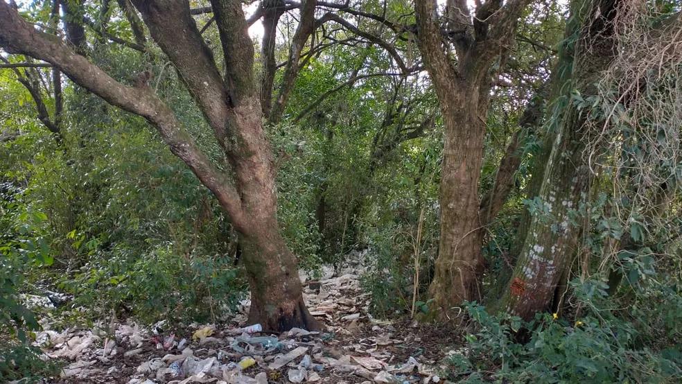 Mulher é encontrada morta e enterrada em vala em Ponta Grossa