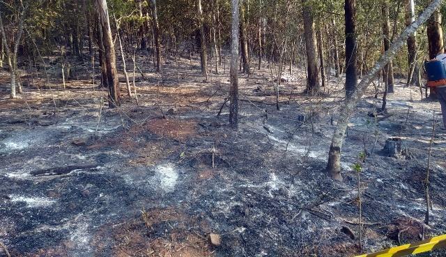 Homem morre carbonizado ao tentar apagar incêndio ambiental no interior do Paraná