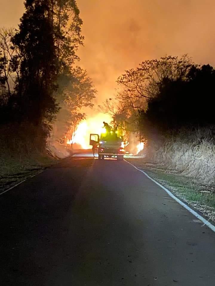 INCÊNDIO ÀS MARGENS DA RODOVIA ENTRE BARBOSA FERRAZ E CORUMBATAI DO SUL