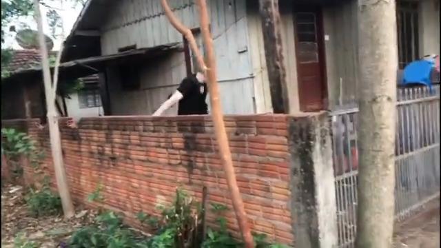 Cinco pessoas da mesma família são presas acusadas de roubo em Marechal Rondon e região