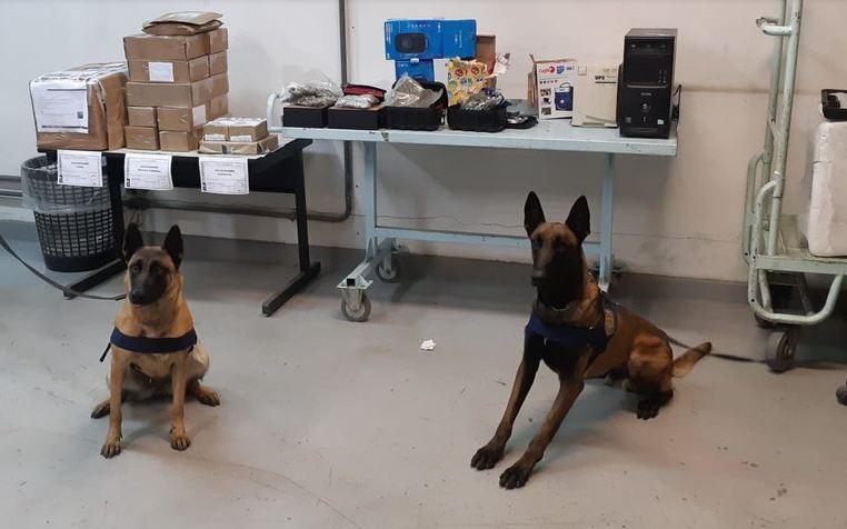 Durante um treinamento da PRF, cães encontram droga na central de distribuição dos correios, em Curitiba