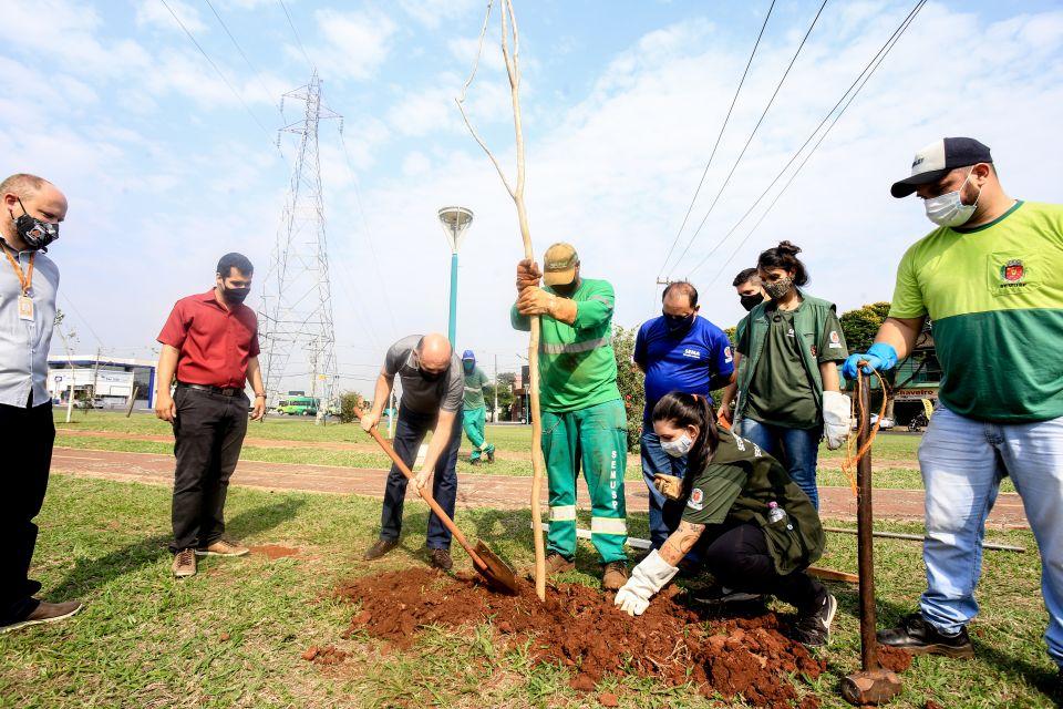 Prefeitura de Maringá celebra Dia da Árvore com plantio de mudas e trilha ecológica