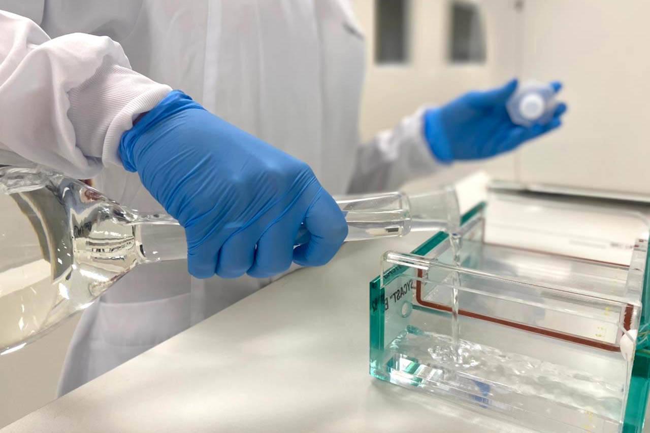 Na UEM, comitês avaliam projetos de pesquisa para garantir atuação ética e qualidade dos estudos