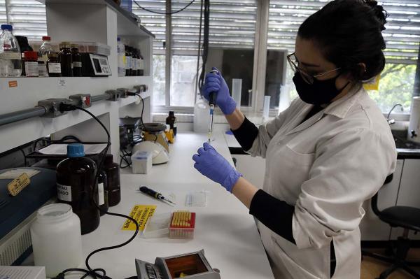 Pesquisas sobre Covid-19 em Curitiba podem dar novo rumo à comunidade científica brasileira