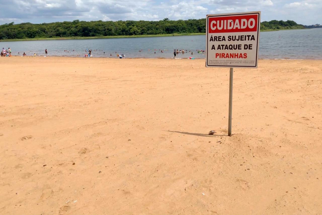 Bombeiros alertam sobre ataques de piranhas nas praias da Costa Oeste do estado
