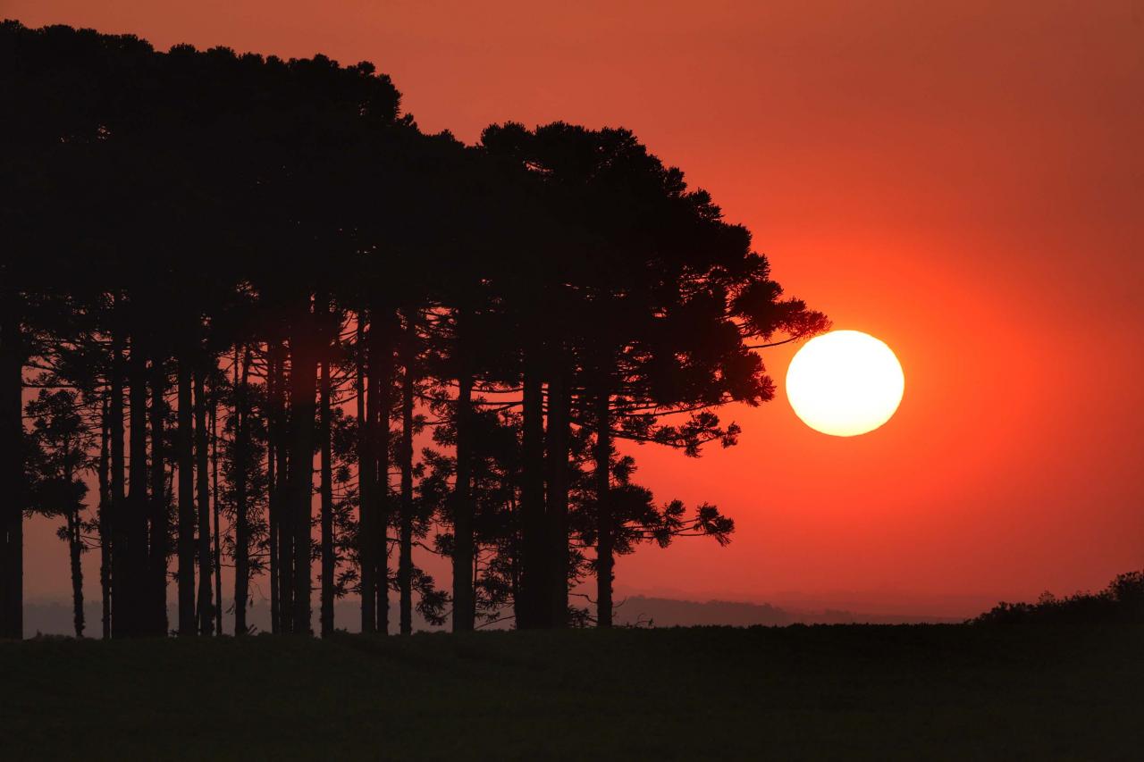 Paraná ultrapassa 40°C nas temperaturas e cidades registram recordes históricos