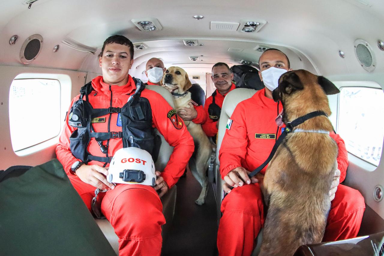 Governo do Paraná envia 10 bombeiros e cães para buscas a desaparecidos em Petrópolis RJ