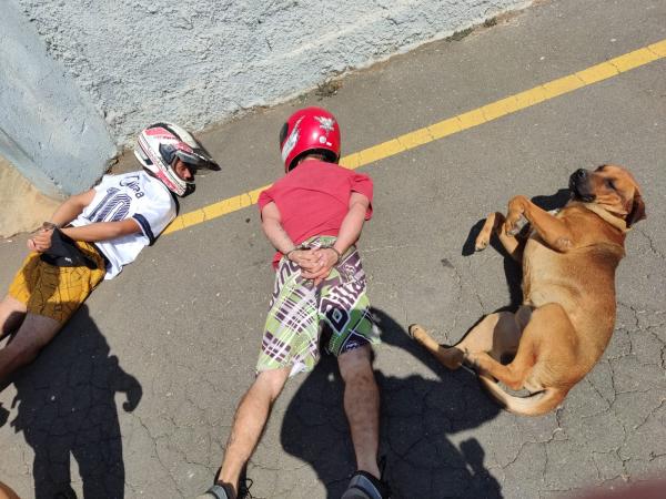 Exemplo de obediência: Prisão de suspeitos em Itaperuçu viraliza após cãozinho obedecer à abordagem policial