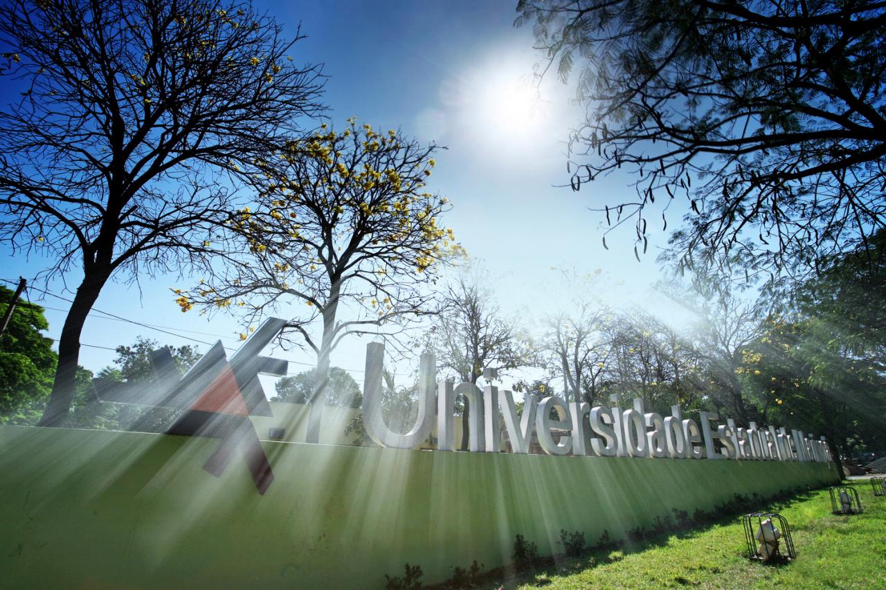 UEM tem 10 pesquisadores no rol de cientistas mais influentes do mundo