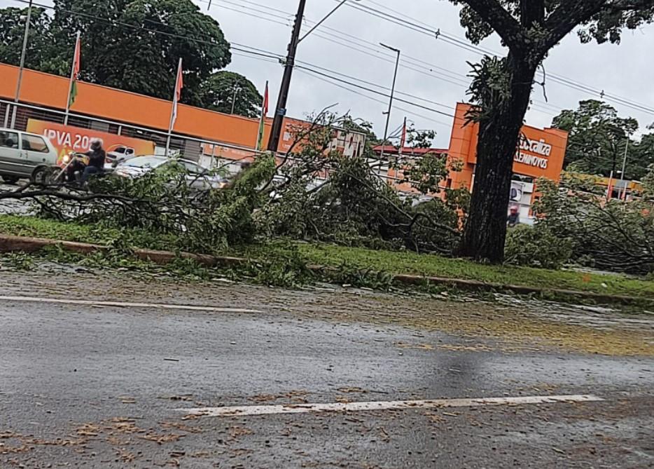 Chuva, ventos fortes e granizo no Paraná derruba árvores, deixa moradores sem luz e bloqueia trânsito no estado
