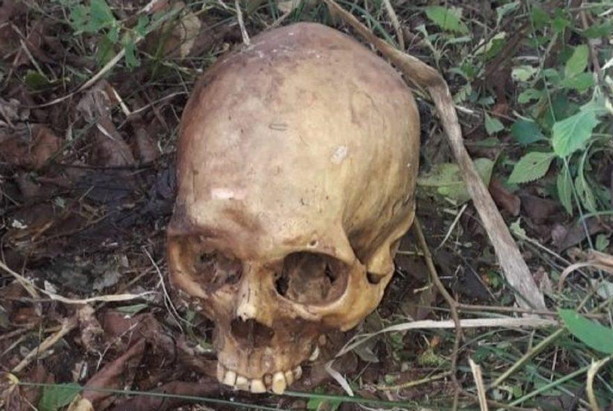 Crânio humano é encontrado nos fundos de uma igreja, em Foz do Iguaçu