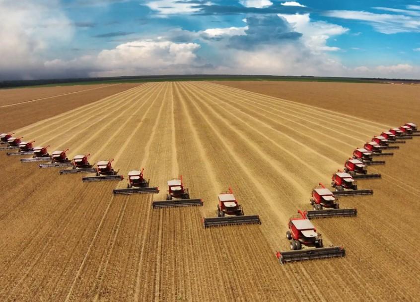 Safra de grãos 2021/22 deve ser 6,4% maior que a anterior