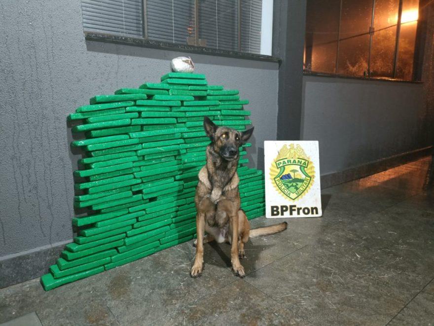 BPFRON apreende carro carregado com mais de 90kg de substância análoga a maconha, em Toledo