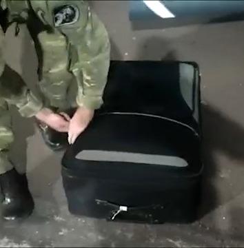 Cão farejador indica bagagem com 31kg de maconha, em Umuarama