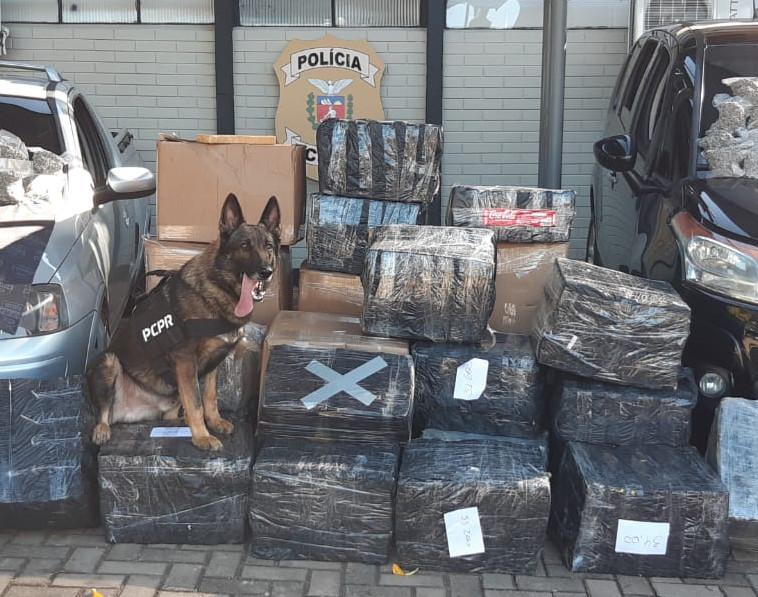PCPR apreende 876 quilos de maconha e prende um homem em Foz do Iguaçu