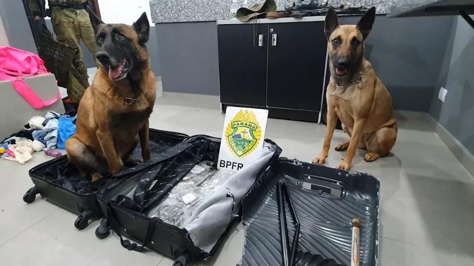 BPFron apreende carga de haxixe avaliado em mais de R$ 40 mil na BR-369, em Corbélia