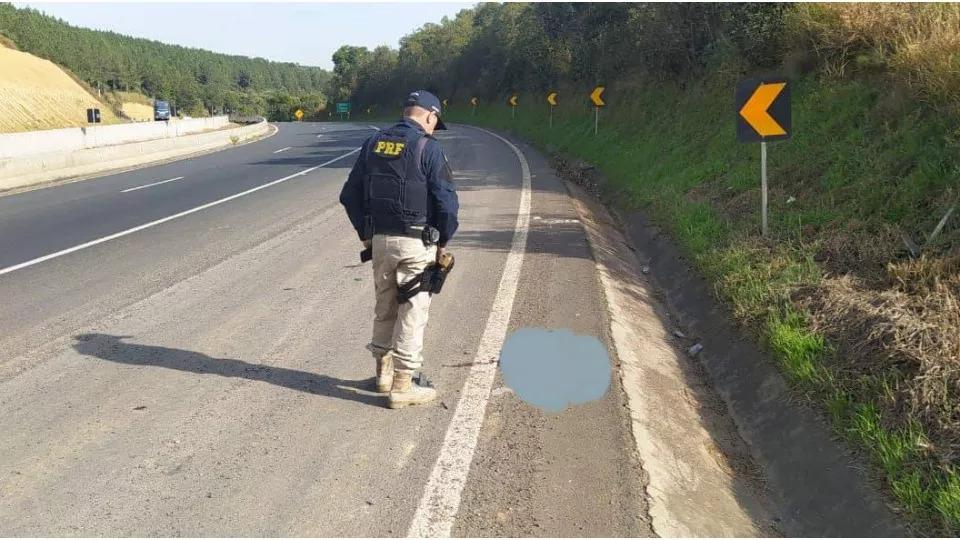 Cabeça decapitada é encontrada na BR-376, no Paraná