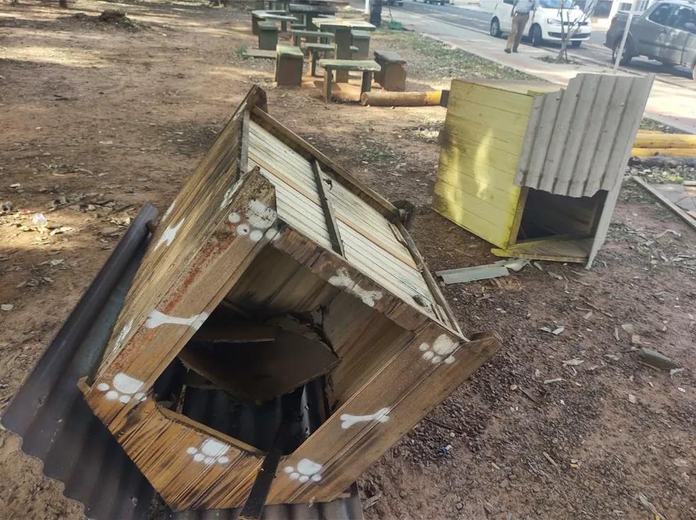 Casinhas construídas para abrigar cães de rua, são destruídas, em Cianorte