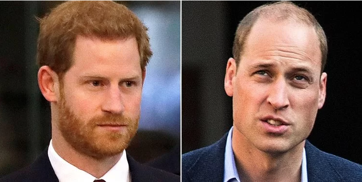 BOMBA NA FAMÍLIA REAL: Harry diz que Príncipe William o agrediu e o incentivou a usar roupa nazista