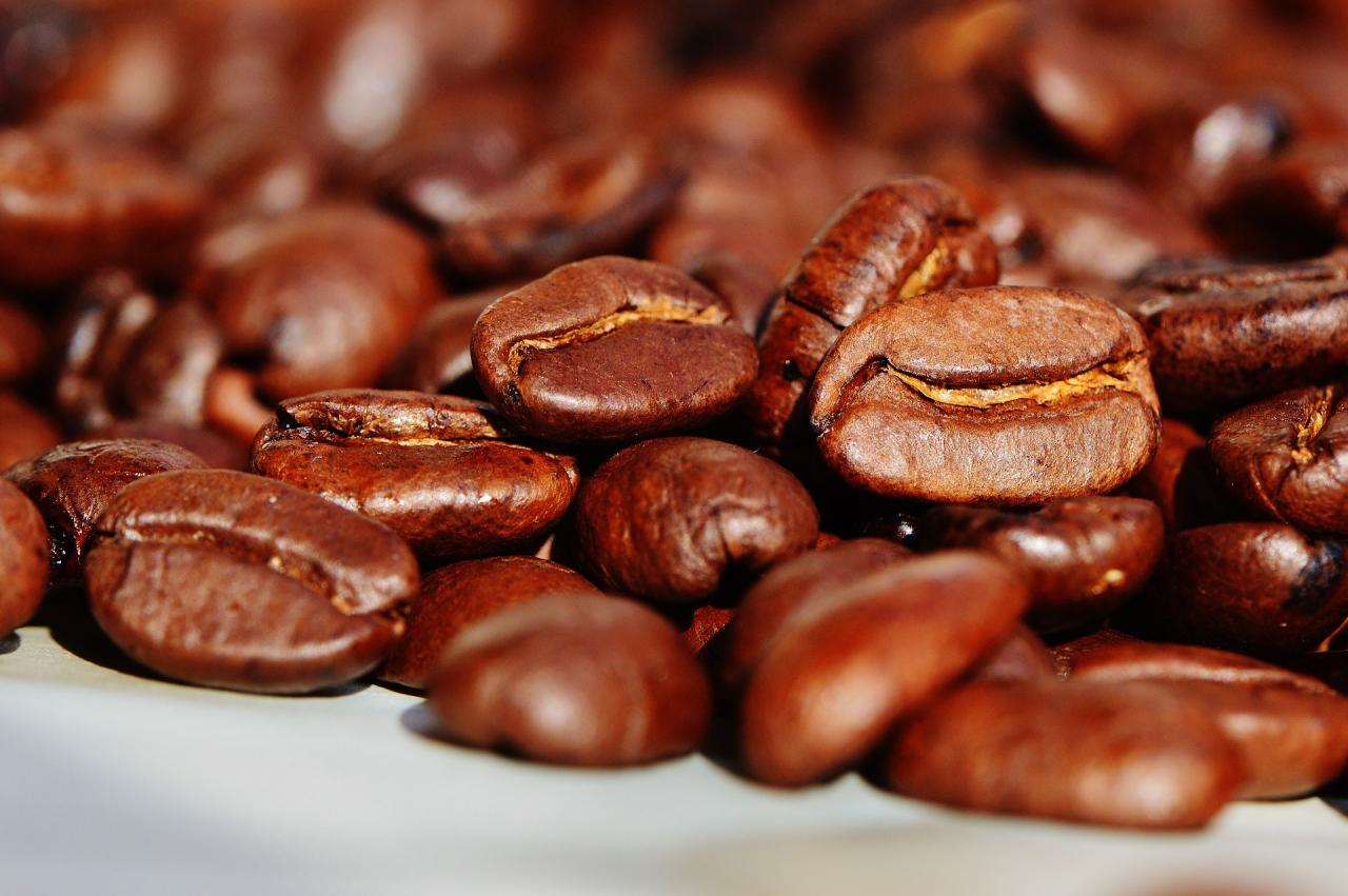 Dia mundial do café: Brasil é o maior produtor mundial e 2º maior consumidor da bebida