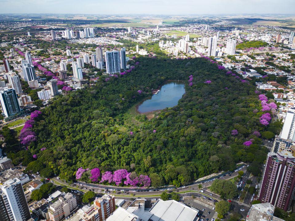A ′Cidade Árvore do Mundo′ sediará entre os dias 15 e 23 de setembro o Congresso Brasileiro de Arborização Urbana