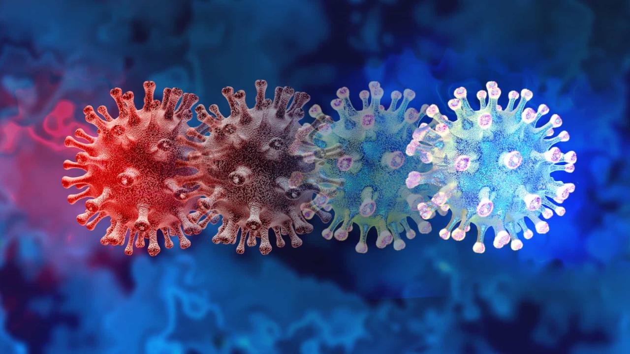 Variantes da Covid têm mutações geradas por antiviral molnupiravir, diz pesquisa