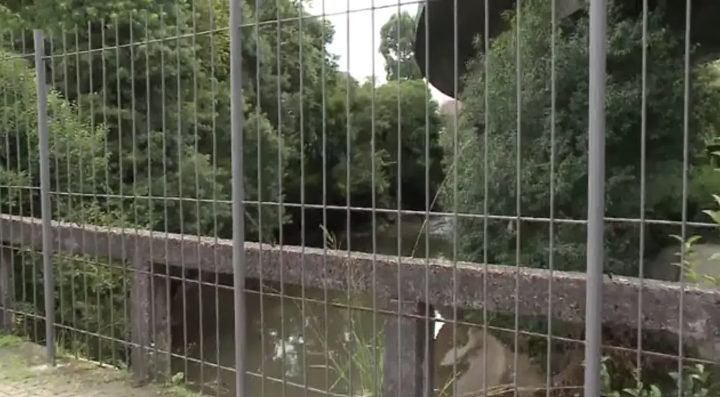 MORTE: Corpo de mulher é achado em rio embaixo do viaduto do Capanema