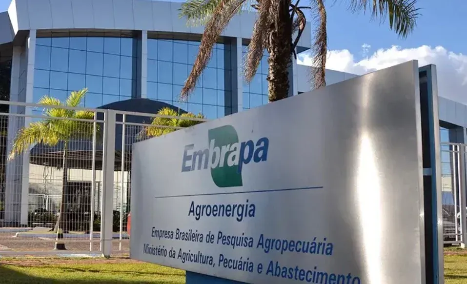 EMPBRAPA: Concurso público com salário de R$ 2,1 mil a R$ 12,8 mil dá mais prazo de inscrição