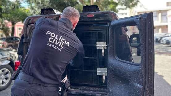 Homem de 51 anos é preso por estupro, perseguição e outros crimes em Arapongas