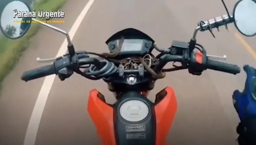 Motociclista leva susto ao ver cobra marrom aparecendo no guidão