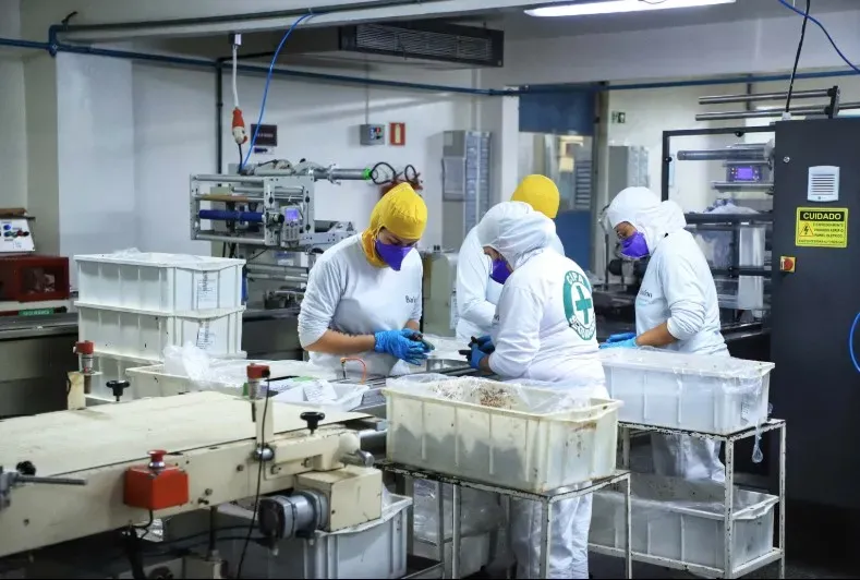 3º maior empregador do Brasil: Paraná bate marca de 102 mil carteiras assinadas em 2025