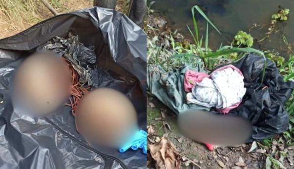 Achado Macabro em São José dos Pinhais: Crânios Humanos e Velas à Beira de Rio Apontam para Ritual Religioso e Crime de Vilipêndio