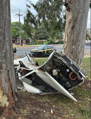 Tragédia em Apucarana: Motorista de 61 anos morre após carro colidir com árvore na BR-369