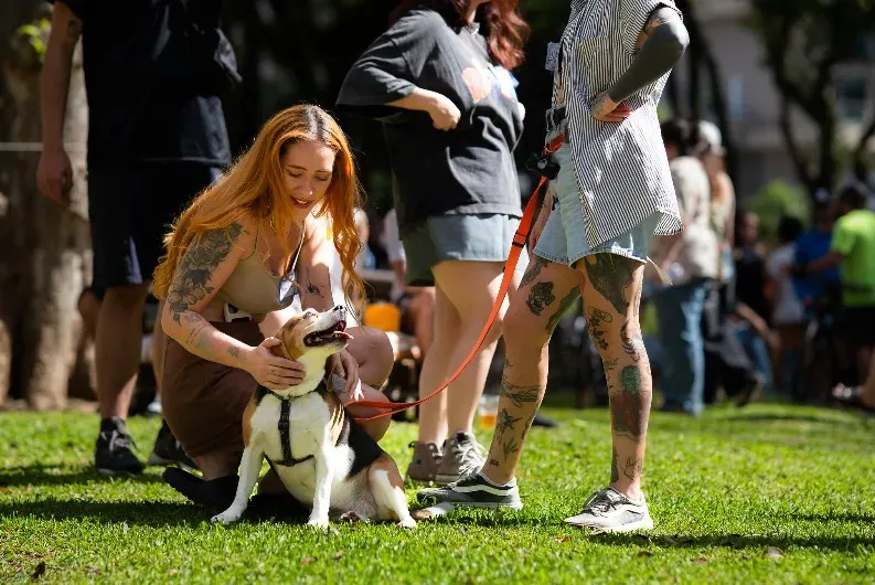 Câmara Municipal de Curitiba aprova novas regras para condução de cães em espaços públicos de Curitiba