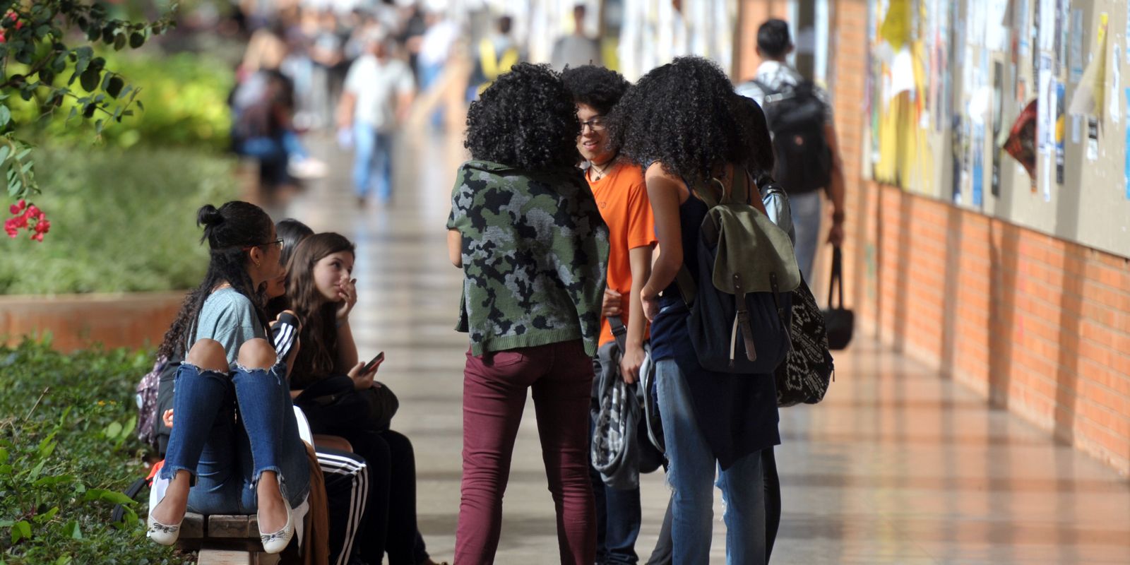 Matrículas no ensino superior crescem em 2023 e 2024