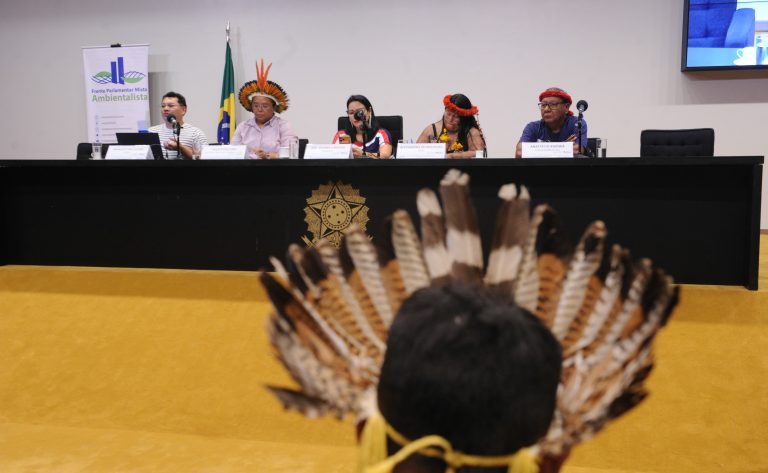 Seminário na Câmara discute ampliação da presença indígena e proteção de territórios