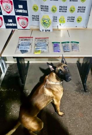 Mulher é presa em flagrante por tráfico de drogas em Londrina com apoio de cão farejador
