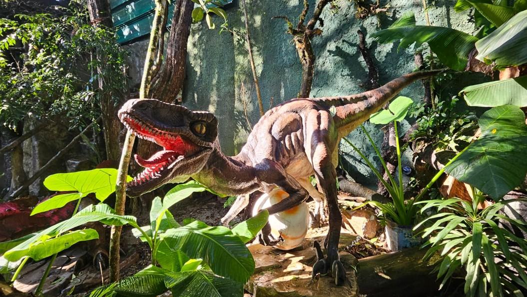 Parque do Ingá recebe exposição inédita ‘Jurássico Condor’ com réplicas de dinossauros