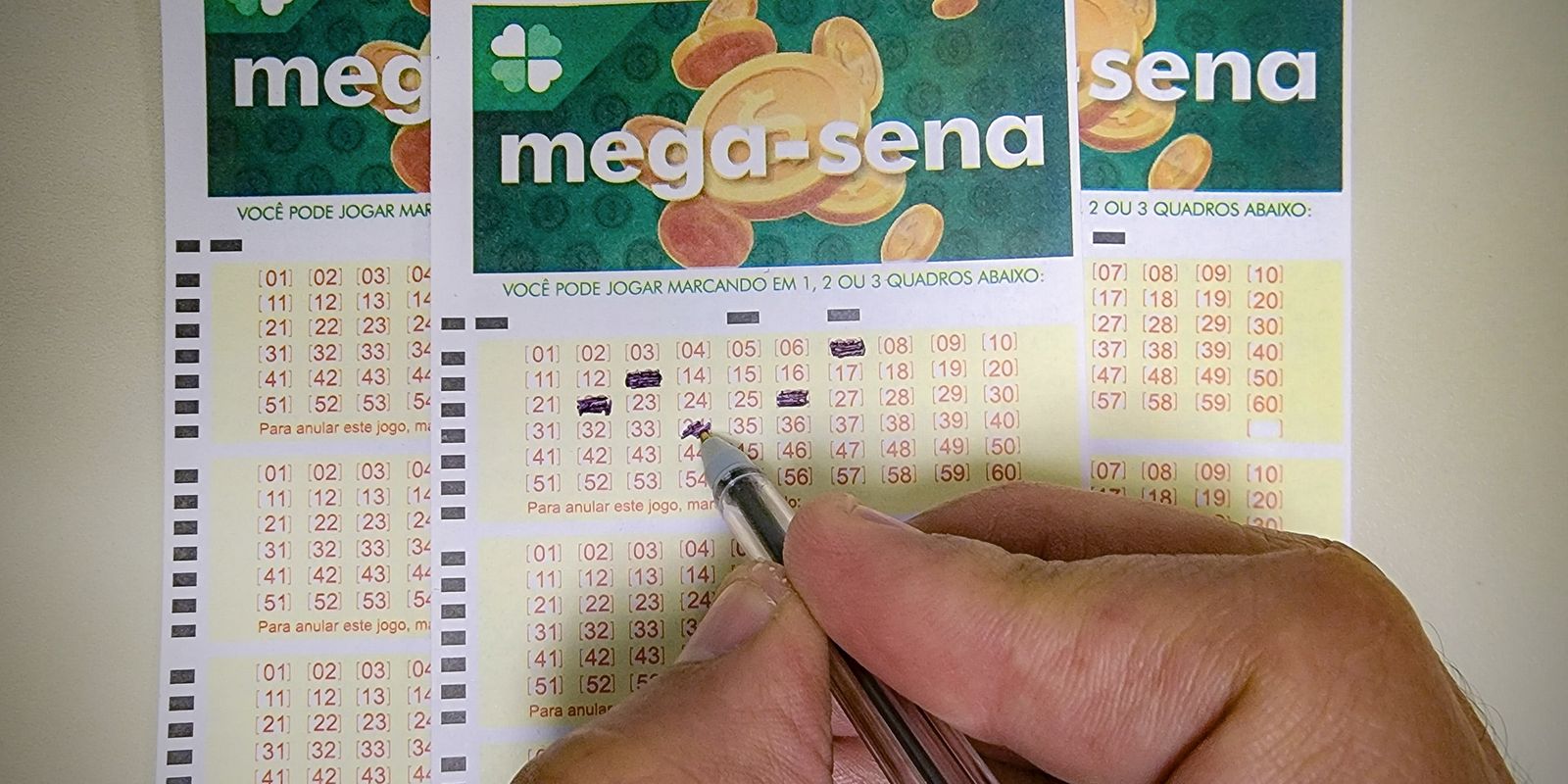 Mega-Sena sorteia R$ 20 milhões neste sábado; veja como apostar